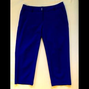 Navy blue Capri dress pants w/pockets